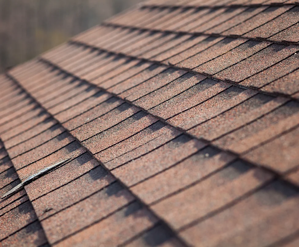 close-up-of-shingles-3