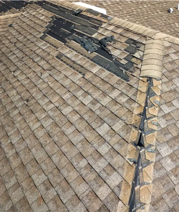 wind-damage-2-100