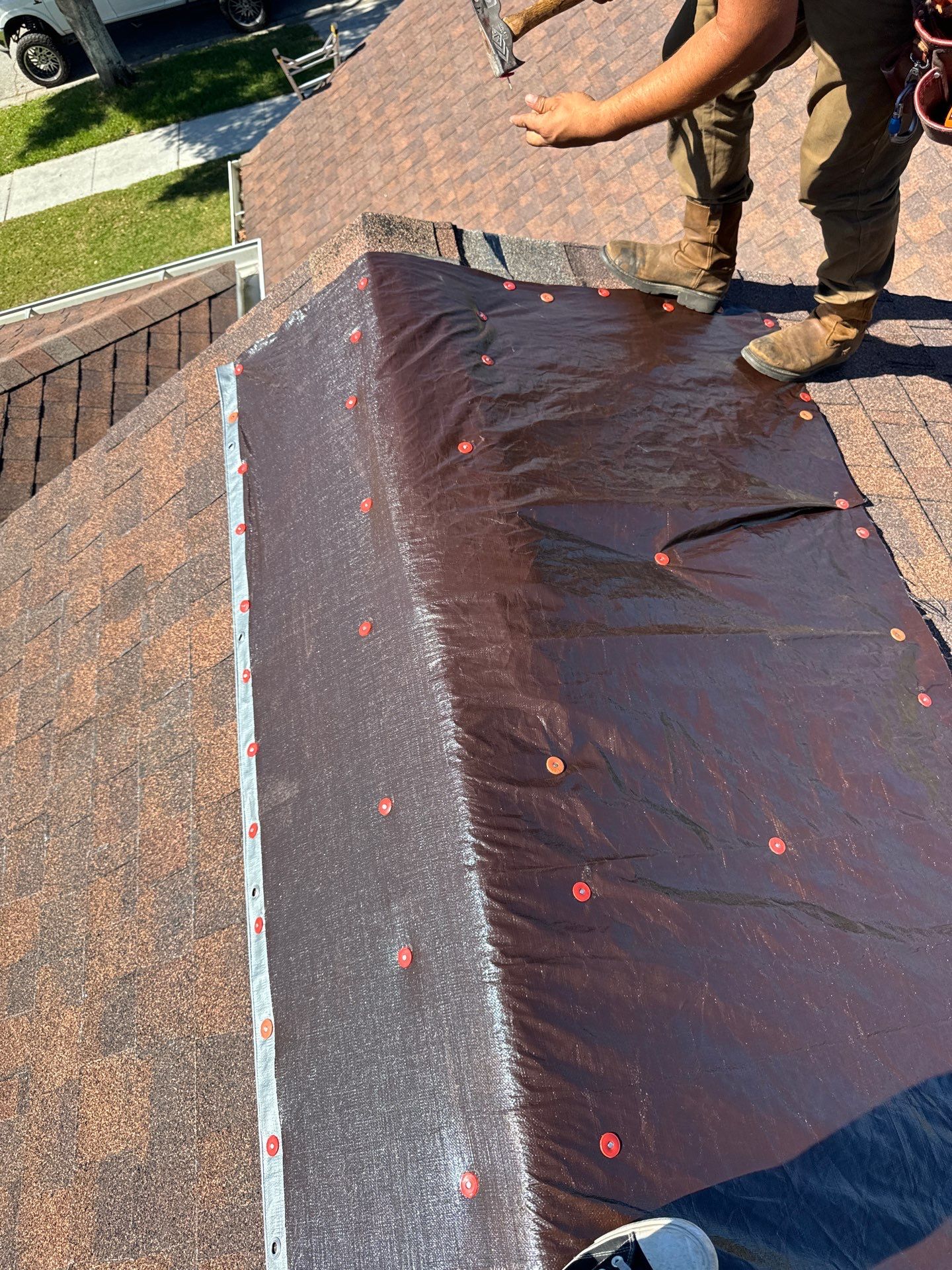 roger_jones_tarp