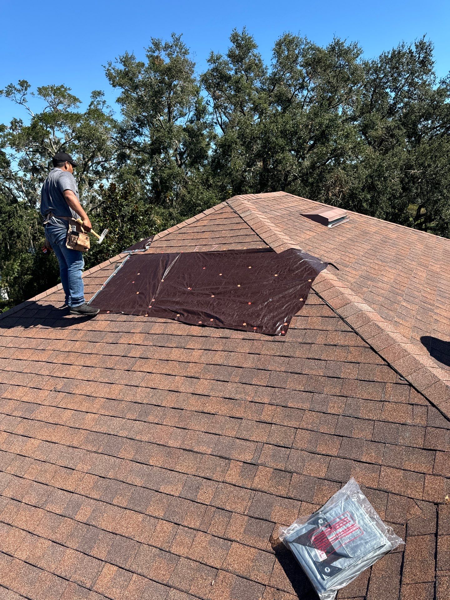 roger_jones_tarp_2