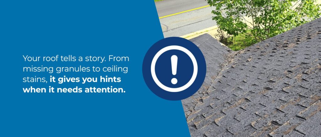 8 Roof Damage Warning Signs