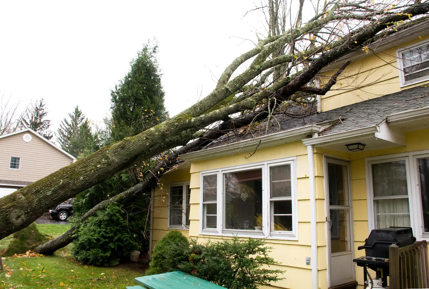 01-homeowner-alert-time-limits-for-filing-roof-insurance-claims-in-tennessee