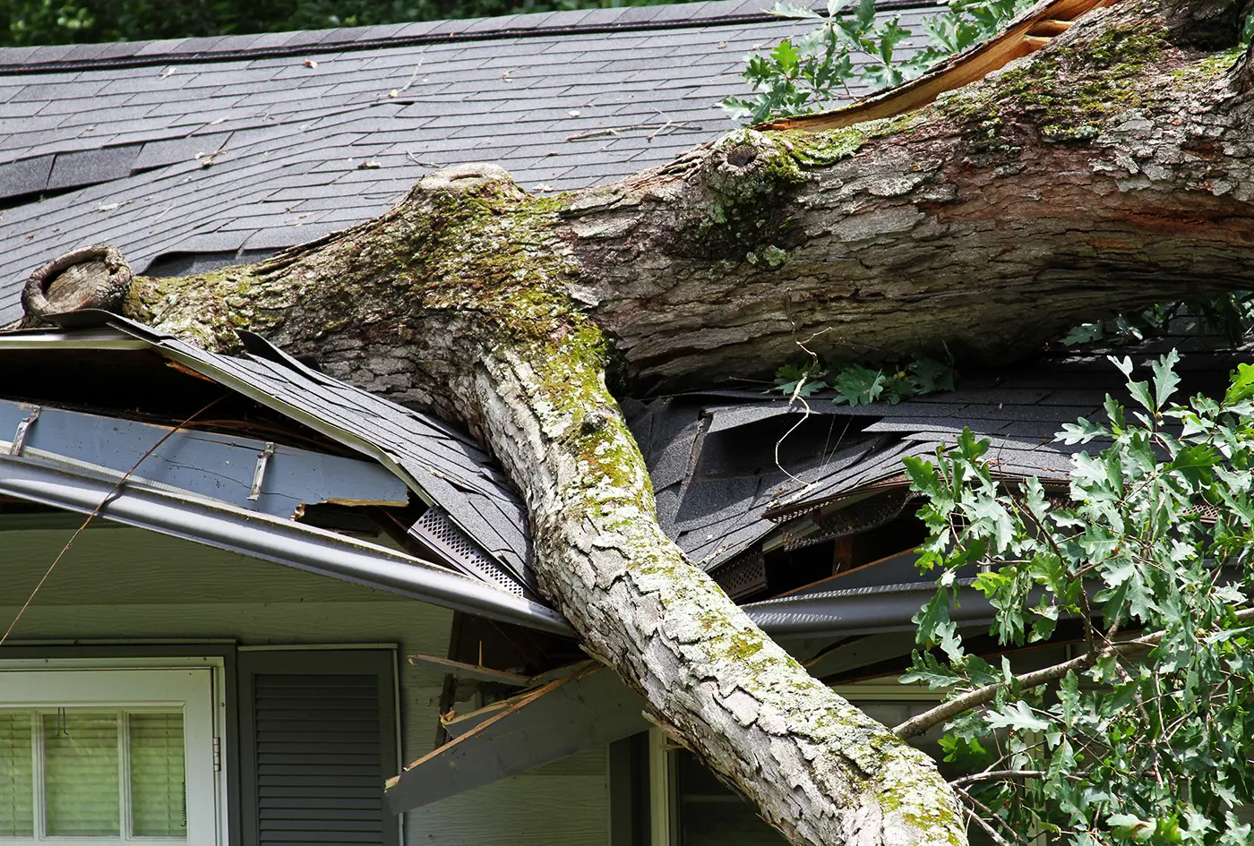 tree fell on roof causing damage